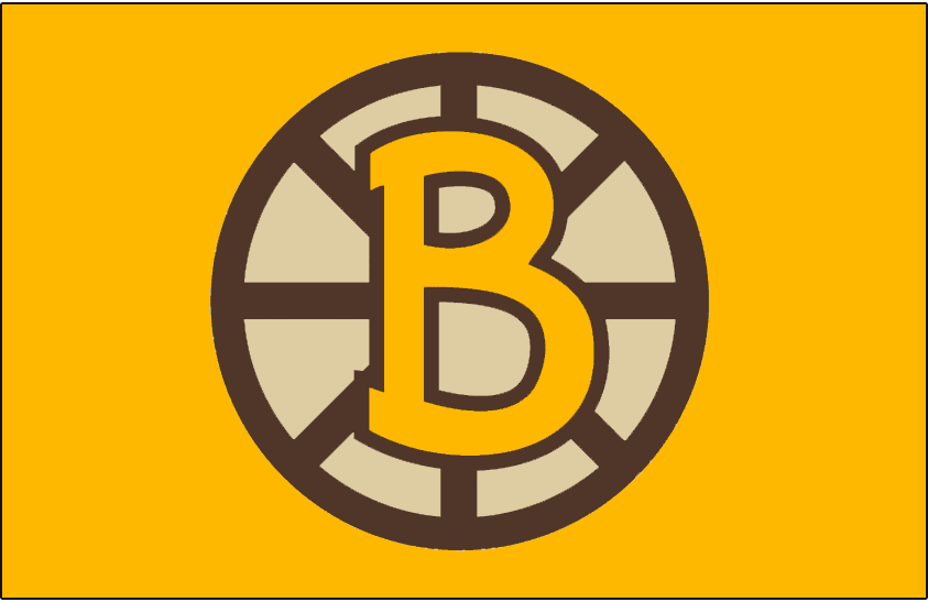 Boston Bruins 2010 Special Event Logo iron on heat transfer